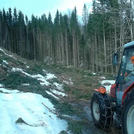 Mo Gardsferie-pers Frukthage Øystese